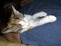 Caramel 08-04 033